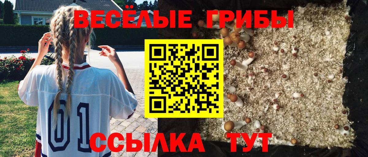 Салехард  Галлюциногенные грибы ЛСД  Псилоцибиновые грибы GOLDEN TEACHER  Вход с VPN 