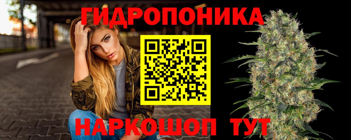 Шишки марихуана LSD WEED  Вход с VPN  Конопля OG Kush  Марихуана план  Салехард  Бошки Шишки White Widow 